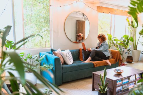 A woman sitting on a blue sofa, with her legs up. She is sat in a room with lots of natural light and four house plants around her. She is sat with a laptop on her lap. Researching why she should do a product transfer.